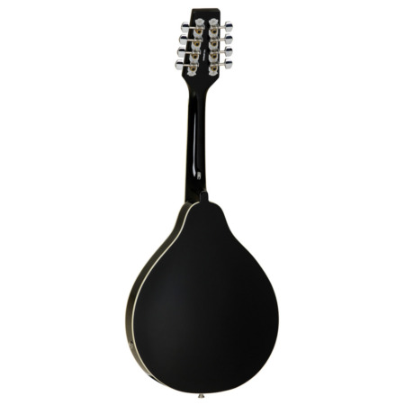 Tanglewood TWMTBKPE Union Mandolin - Image 2