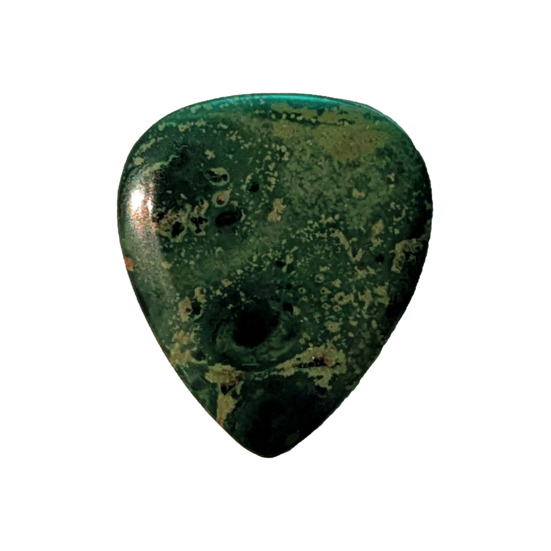 Crocodile Rock 1 Guitar Pick